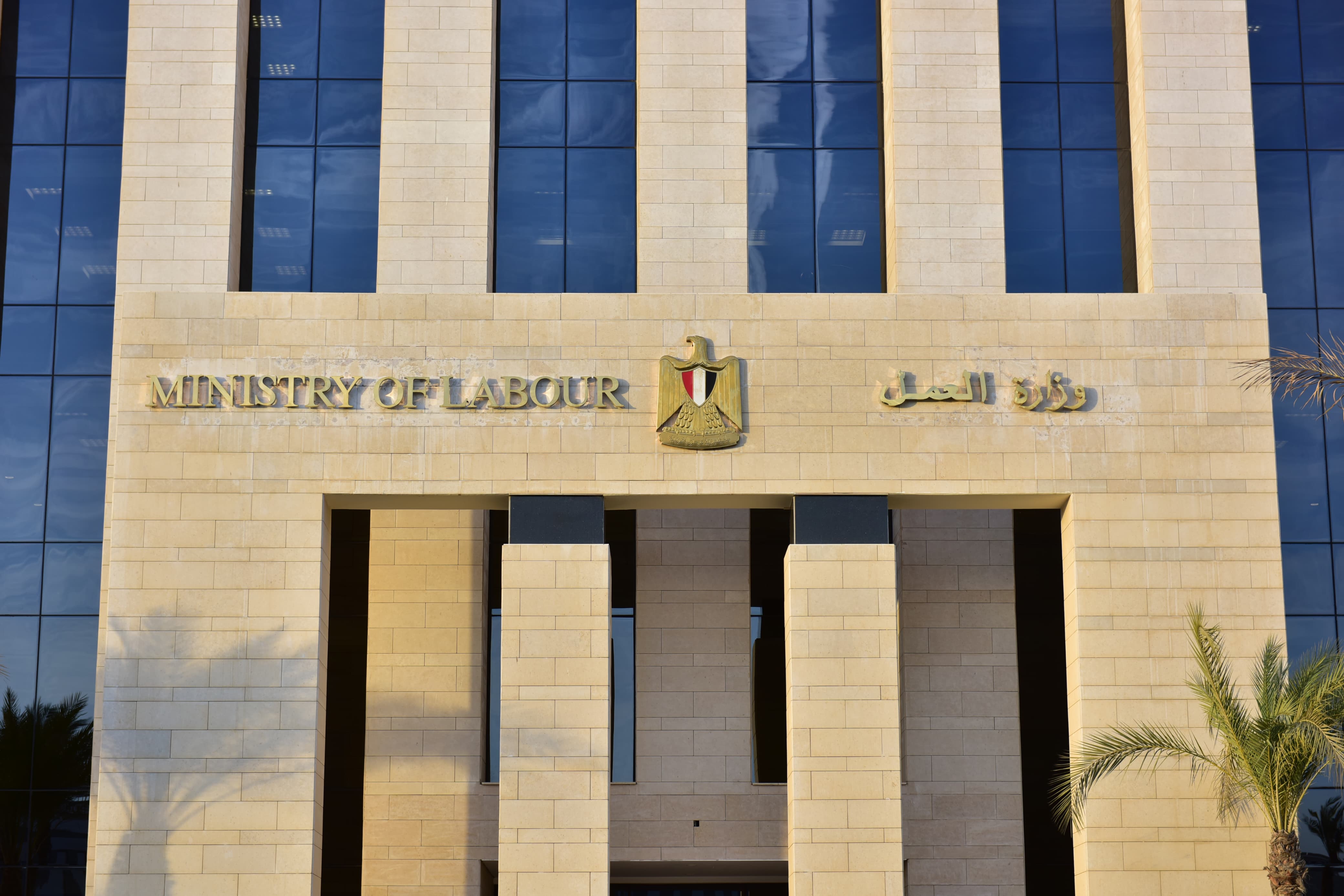 وزير القوى العامله 